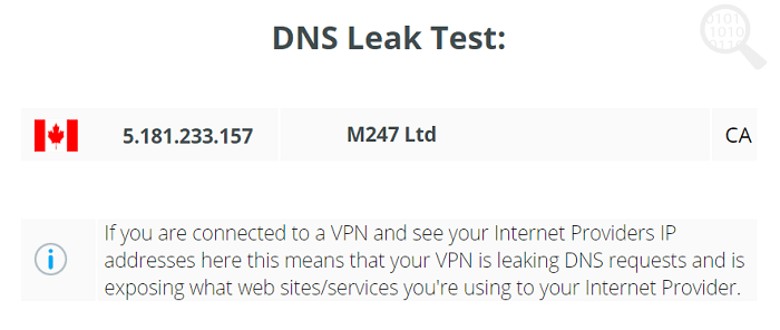 DNS-Leak-Test-SwitchVPN