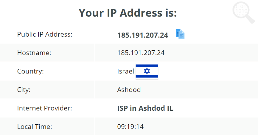 阿瓦斯特-VPN-IP泄漏测试
