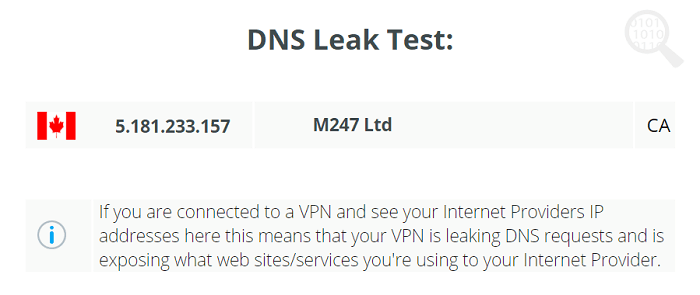 vpnbook dns leak test