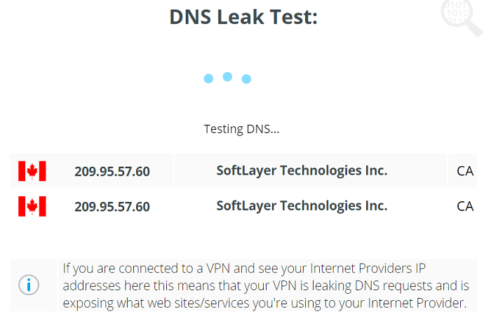 Mullvad-VPN-DNS-Leak-Test