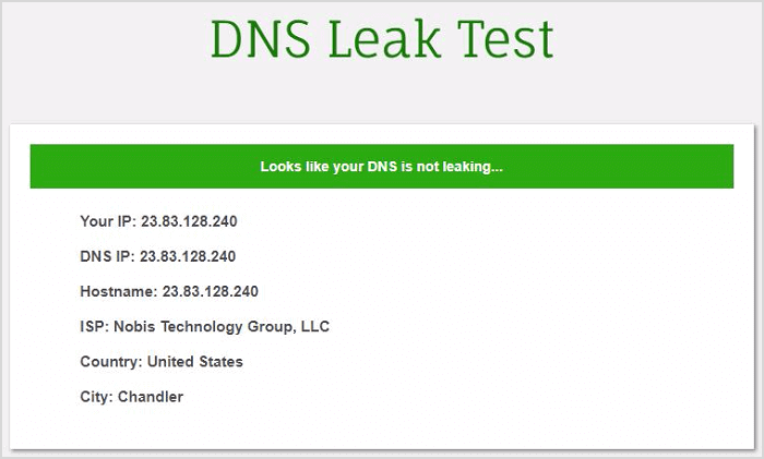 Surfshark-DNS-Leak-Test