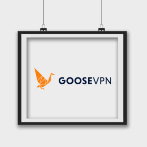 Goose VPN Review in USA 2023