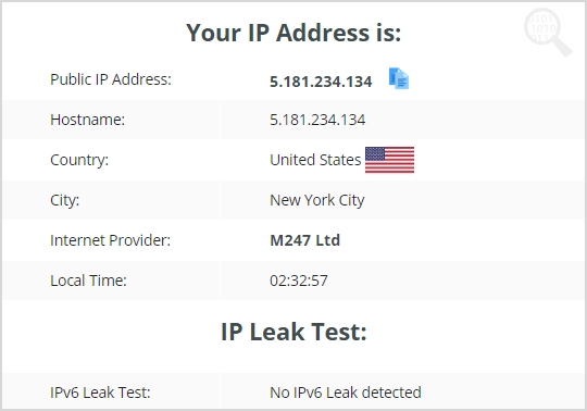 OVPN - IP 泄漏测试