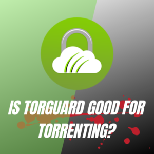 TorGuard for Torrenting in USA  – is it good in 2023?