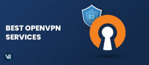 5 Best VPNs for OpenVPN Services in 2024