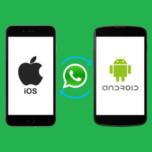 WhatsApp Will Now Allow Chat History Transfers Between iOS & Android