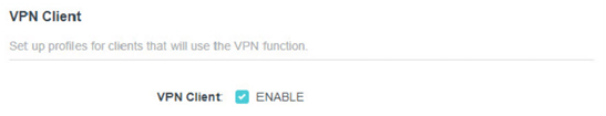 TP-Link-interface-enable-vpnclient
