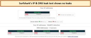 surfshark-dns-ip-leak-test