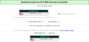 surfshark-dns-leak-test-1-For France Users