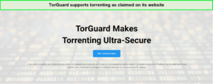 torguard-torrenting