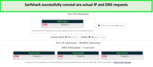 Surfshark-DNS-Leak-test-in-Australia