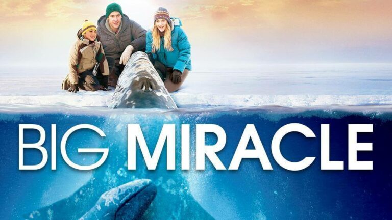 Watch Big Miracles Season 1 Outside Australia on 9Now