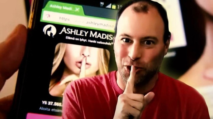  Die Ashley-Madison-Affäre 