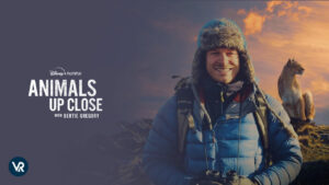 How To Watch Animals Up Close with Bertie Gregory in Canada on Hotstar [Free Guide]
