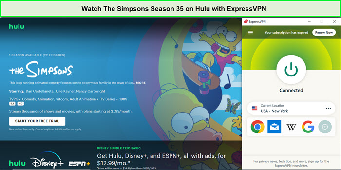  Schauen Sie sich die Simpsons Staffel 35 auf Hulu mit ExpressVPN an. in - Deutschland 