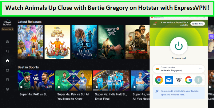 Watch-Animals-Up-Close-with-Bertie-Gregory-in-UAE-on-Hotstar