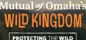 Watch Mutual of Omaha’s Wild Kingdom Protecting the Wild in Canada on NBC