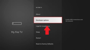 click-developer-options-on-firestick-in-Italy