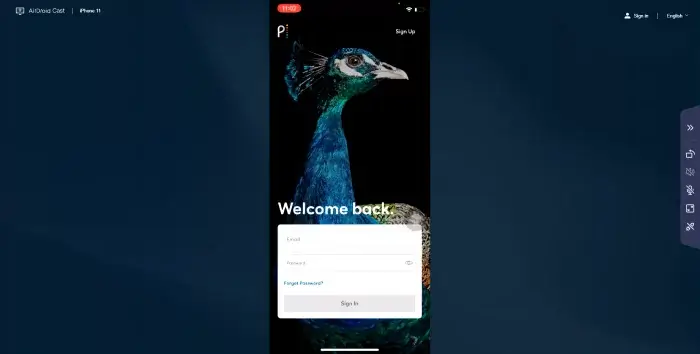 Stream-Peacock TV