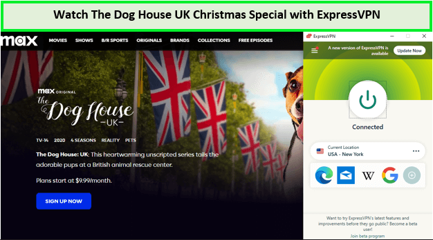 Watch-The-Dog-House-UK-Christmas-Special-in-New Zealand-with-ExpressVPN