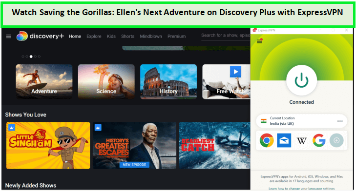  Beobachte-das-Rettungs-der-Gorillas-Ellens-nächstes-Abenteuer- in - Deutschland Auf Discovery Plus 