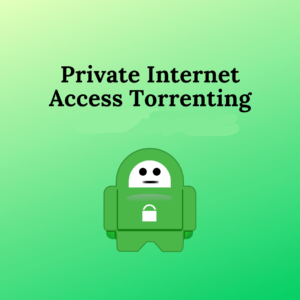 Accès Internet privé-Torrenting-in-France