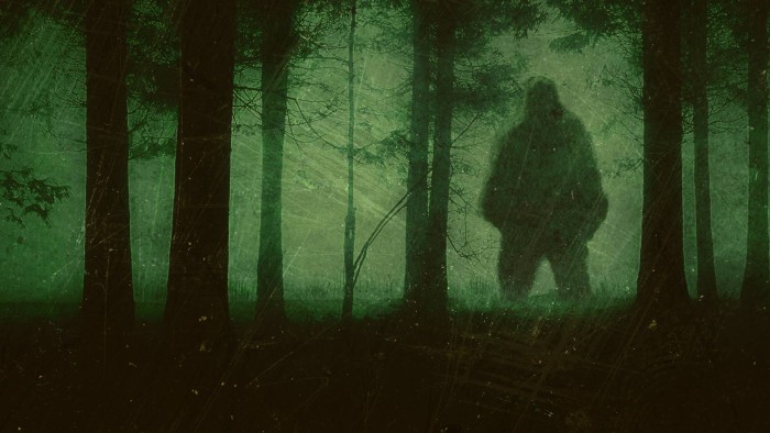 Bigfoot-Fear-in-the-Woods