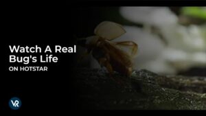 Watch A Real Bug’s Life Outside India on Hotstar