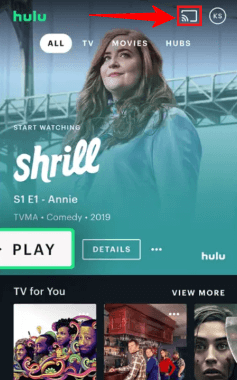 hulu-on-android-tv-via-casting-in-Germany