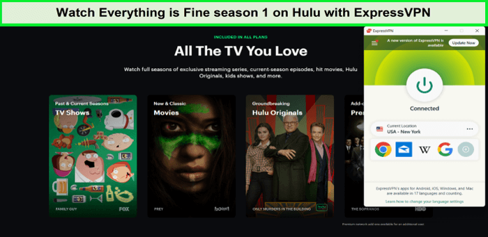 Watch-Everything-is-Fine-season-1-on-Hulu-in-Canada-with-ExpressVPN