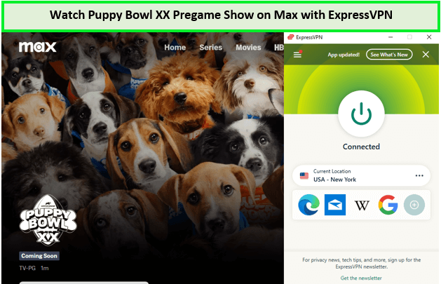 Watch-Puppy-Bowl-XX-Pregame-Show-in-Australia-on-Max-with-ExpressVPN