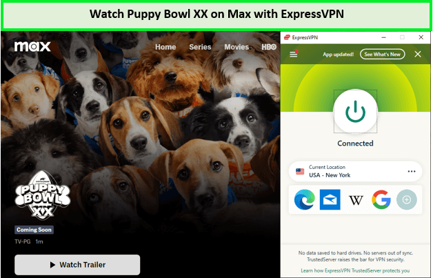 Watch-Puppy-Bowl-XX-in-Germany-on-Max-with-ExpressVPN
