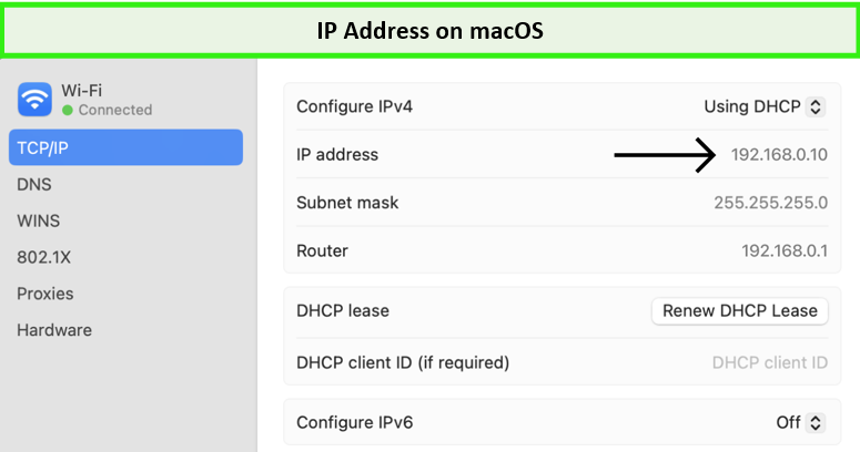 ip-address-on-mac-in-France