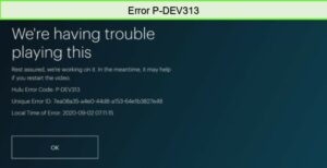 Error P-DEV313