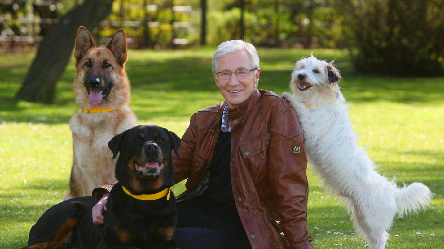 Paul-O-Grady-For-the-Love-of-Dogs 