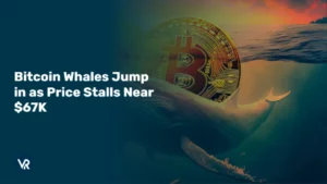 Bitcoin Whales Jump in as Price Stalls Near $67,000