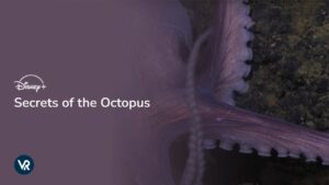 How to Watch Secrets of the Octopus in Hong Kong on Disney Plus