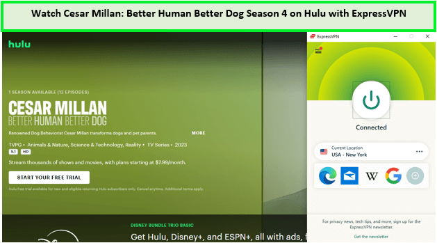 Watch-Cesar-Millan-Better-Human-Better-Dog-Season-4-in-South Korea-on-Hulu-with-ExpressVPN
