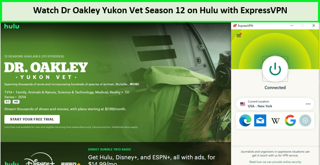 Watch-Dr-Oakley-Yukon-Vet-Season-12-in-Hong Kong-on-Hulu-with-ExpressVPN